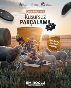 D Tipi Balta Yem Karma Makinası Bıçağı